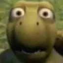 Turtle_Shocked