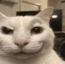 cannysmirk