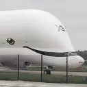 Beluga