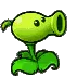 peashooterBiding