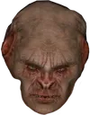 Controller
