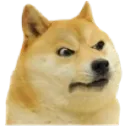 AngryDoggo