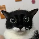 emoji_50