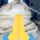 ponder_pray