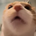 concerned concerned