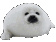 :SEAL: