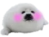 SealBlush