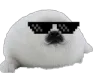 SealCool SealCool