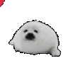 sealreceivelove