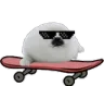 SealSkate