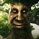 WiseMysticalTree