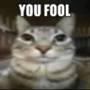 youfool