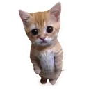 3b6c0dc2ab9bb6abec2f5e0707e354ee