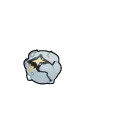 ClangBangRoll