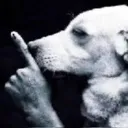 Shhhhh