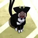 Kuro_cry