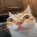 erm