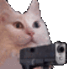 cat_gun
