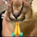 flop_pray flop_pray