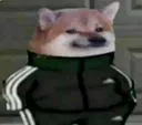 :dog: