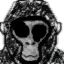 gorillavoid