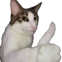 thumbsup