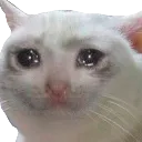 Sadkittty