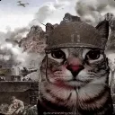 1000yardcat