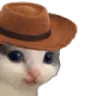 meowdy