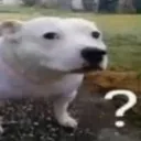 huhdog
