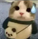 carsweat