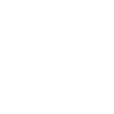 vanguard
