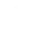 defender