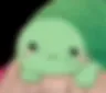 tutle
