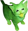 veni veni