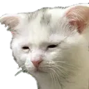 11267933662570291521