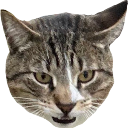 leo Discord emoji
