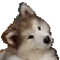 DoggoWonder_abis