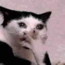 Omgcat_abis
