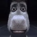 donkey