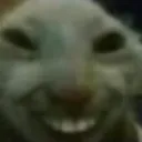 hehecat