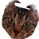 kitka Discord emoji