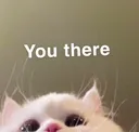 wellyouthere