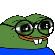 Ot_PepeNerd_abis
