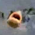 elp