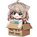 neuroBox