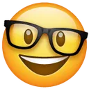 nerdface_1f913