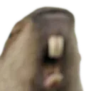 capyroar3