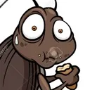 roachard roachard