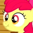 scrunch scrunch